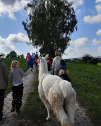 Ferienprogramm im Hort palladi in Landshut